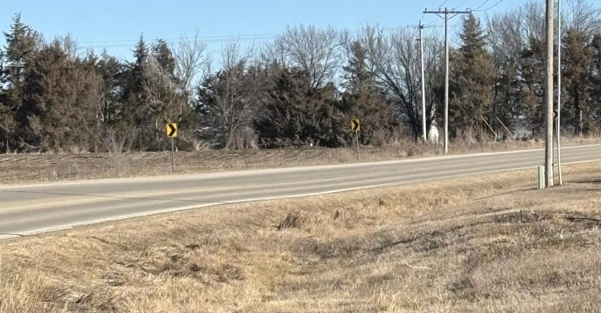 Flush Rd. Also Known as Accident Alley