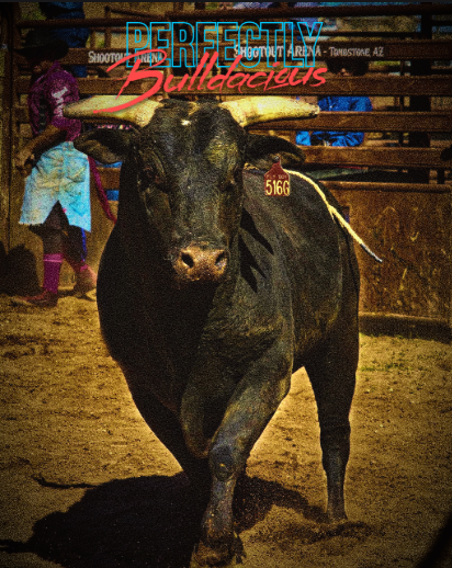 Bull photo illustration was created using Pixler and Picabay by junior Chase Deweese 